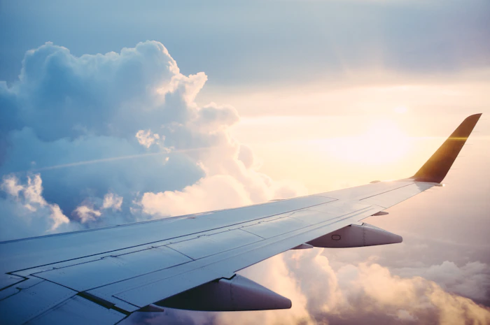Viajar a visitar familia, vacacionar o recibir tratamiento médico